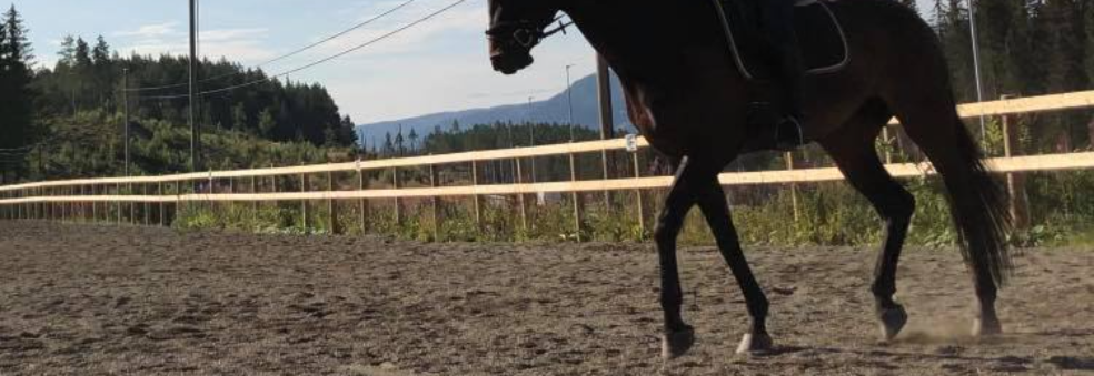 Storm-trening i pinsehelgen